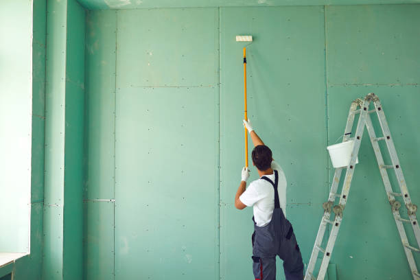 Best Mold Odor Removal Services  in Holiday Shores, IL