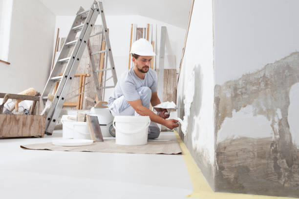 Best Mold Remediation for Healthcare Facilities  in Holiday Shores, IL