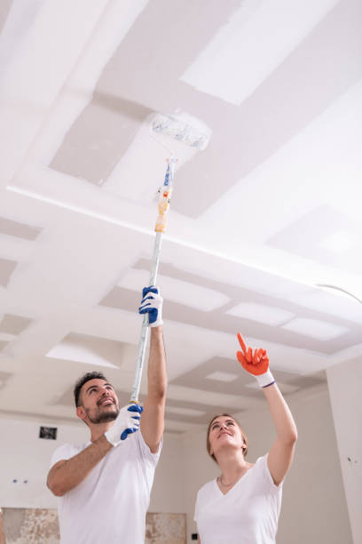 Best Water Damage & Mold Remediation  in Holiday Shores, IL