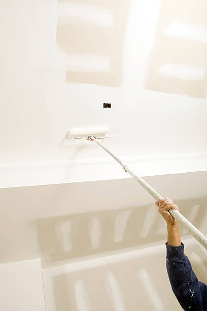 Best Mold Removal for HVAC Installations  in Holiday Shores, IL