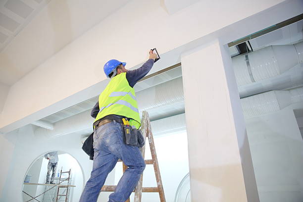 Best Mold Damage Restoration  in Holiday Shores, IL