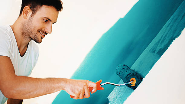 Best Dehumidification Services  in Holiday Shores, IL